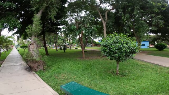 first person view running on the sidewalk next to a park with large trees