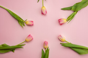 Spring concept, mother's day concept. Flat flowers on a pink background. Top view with space for your text.