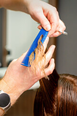 Hairdresser's hands with comb and scissors cut wet female hair in a hair salon