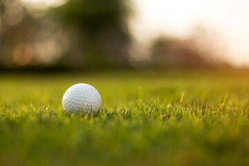 golf ball is on a green lawn in a beautiful golf course