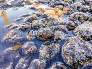 Small colored pebbles in a puddle close-up.