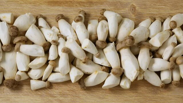 Row of raw fresh mini king trumpet mushrooms close up on wooden background
