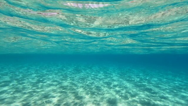 Underwater video of tropical exotic turquoise sandy sea bed as seen at summer