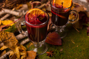 Christmas mulled wine for two on the grass decorated with dry leaves and tree branches. Winter holiday traditions. High quality photo