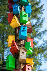 Multicolored colorful birdhouses for birds in the spring sunny forest