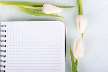 Tulips next to a notebook with checkered sheets. Copy space.