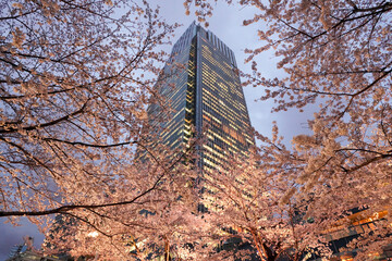 桜ミッドタウン