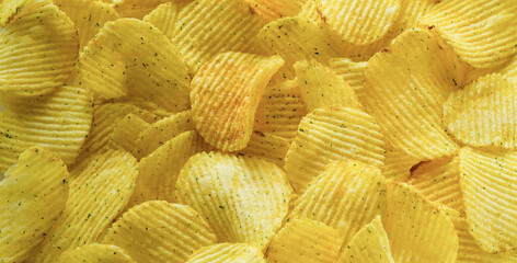 Food background of dry potato chips.