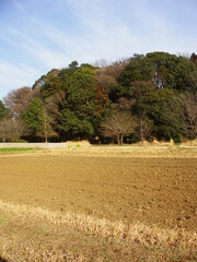 早春の田圃と森のある里山風景