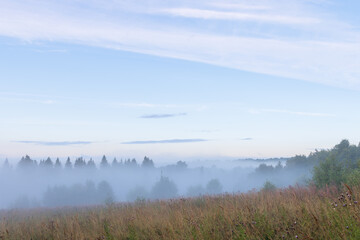 Beautiful morning misty landscape. Clouds of fog rise over the clearing and the forest. Summer nature in the countryside. Natural background.