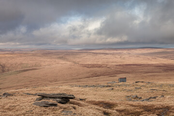 View from great mis tor on dartmoor national park