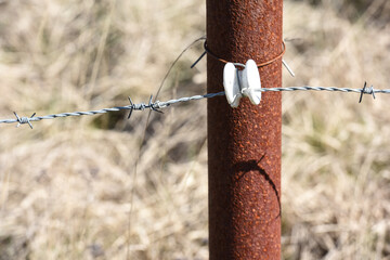 fil barbelé cloture electrique electricité elevage agriculture