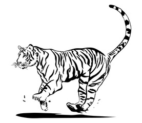 走るトラ、モノクロ