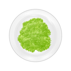 healthy greens on a plate top view isolated on white background