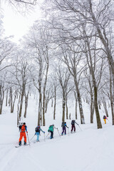 山スキー　雪山を行く　信州鍋倉山