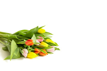 Beautiful colorful tulip flowers on a white background. Valentines day, Mothers Day and spring background. Copy space