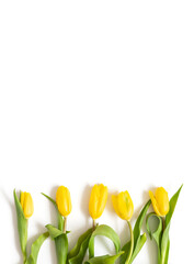Yellow tulips isolated on a white background. Flower frame. Floral border. Vertical orientation. Copy space, top view, flat lay.