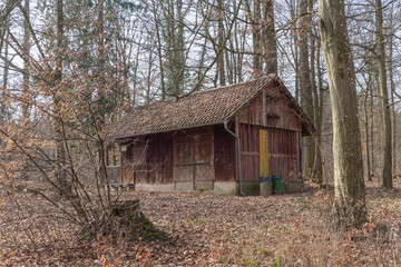 Fototapeta na wymiar Wooden house in the forest