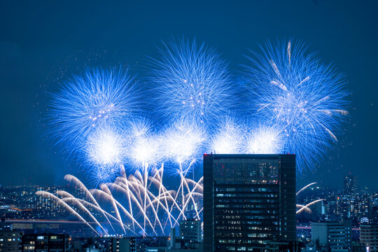 3 最適な しだれ柳 画像 ストック写真 ベクター Adobe Stock