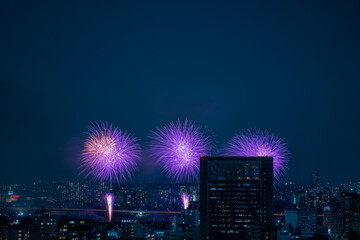 足立区花火2019　横から見る