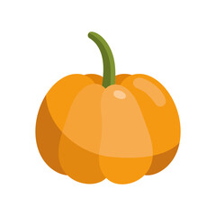 pumpkin fresh vegetable