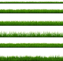 Grass Border Collection Isolated White Background , Vector Illustration