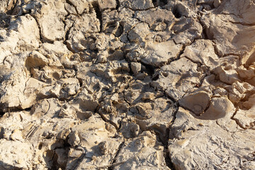 Texture of dry and dehydrated ground surface with cracks.