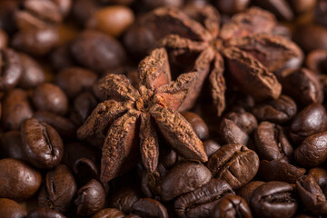 Macro of a star anise and roasted coffee beans. Perfect combination.