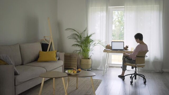  Spacious light living room with working short-haired woman writes in paper notebook sitting at table with modern laptop and cute cat apartment interior in boho style