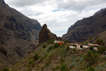 Fototapeta na wymiar Masca Tenerife