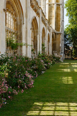 Fototapeta na wymiar Rose bushes along the ancient gothic King's College Porters' Lodge, chapel walls