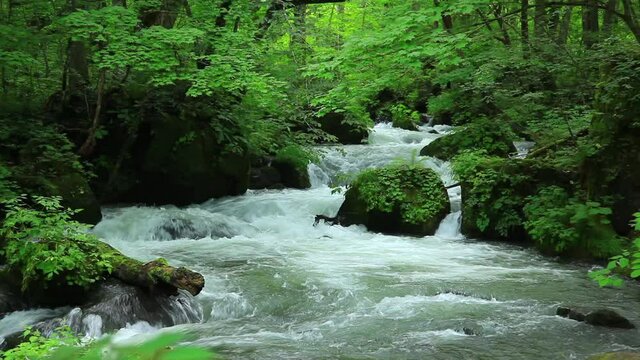 阿修羅の流れ（奥入瀬渓流）