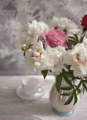 Still life with white and pink peonies in a white vase