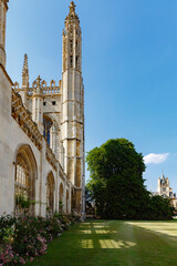 Rose bushes along the ancient gothic King's College Porters' Lodge, chapel walls