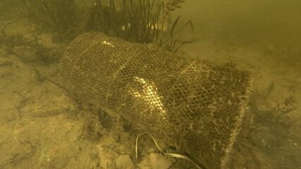 Lost fishing trap continue to kill animals. Problem of ghost gear - any fishing gear that has been abandoned, lost or otherwise discarded. It is the most harmful form of water debris