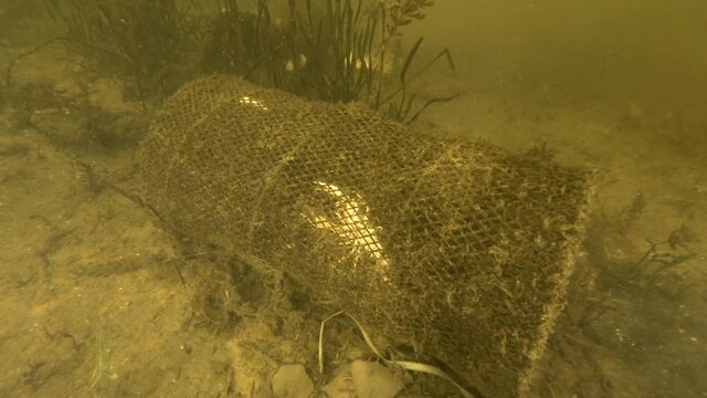 Lost fishing trap continue to kill animals. Problem of ghost gear - any fishing gear that has been abandoned, lost or otherwise discarded. It is the most harmful form of water debris