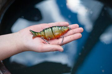 Fishing lures and tackle in the form of bright fish. Sets of accessories for fishing