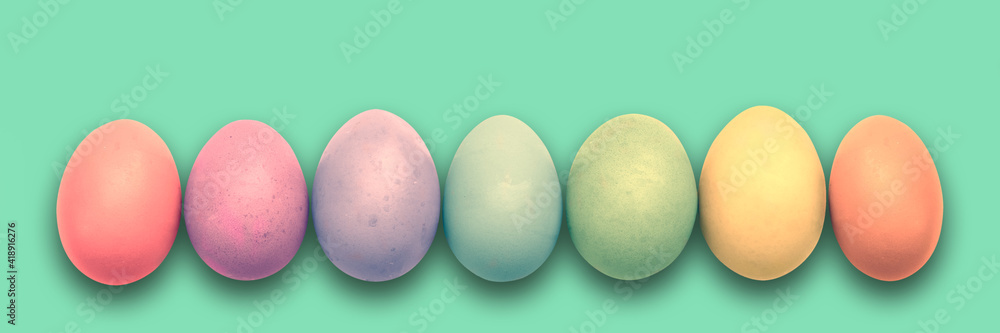 Wall mural Pastel painted Easter eggs aligned in a row on green panoramic background, Easter web banner