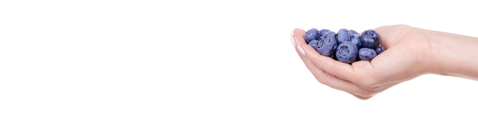 Hand with fresh raw blueberry, isolated on white background.