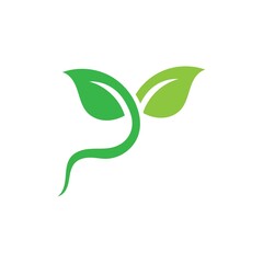Logos of green Tree leaf ecology