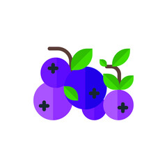 Blueberry Flat Icon Logo Illustration Vector Isolated. Fruit and Healthy Food Icon-Set. Suitable for Web Design, Logo, App, and Upscale Your Business.