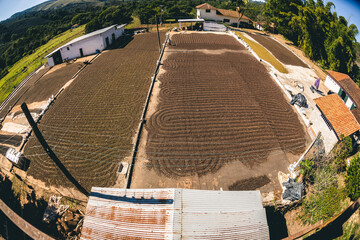 Plantação, Colheita e Secagem de Café