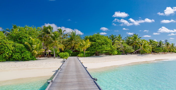 Summer vacation on a tropical island with beautiful beach and palm trees, pier jetty into paradise landscape. Stunning summer scenery, idyllic relaxing view. Travel holiday exotic nature destination