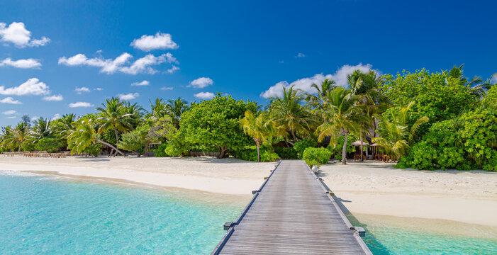 Summer vacation on a tropical island with beautiful beach and palm trees, pier jetty into paradise landscape. Stunning summer scenery, idyllic relaxing view. Travel holiday exotic nature destination