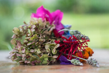 Bouquet of colorful flowers - Buque de floras coloridas Mairiporã Sao Paulo - Brasil