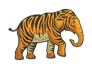 fictional animal tiger elephant color sketch engraving vector illustration. T-shirt apparel print design. Scratch board imitation. Black and white hand drawn image.