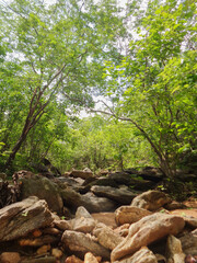 caminho das pedras  2