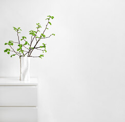 plants in the interior, shoots with green leaves and buds in a white vase, minimalism style, free space, spring welcome background,