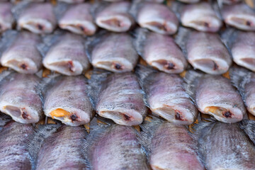 Gourami fish placed on a bamboo container.