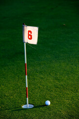 view of a golf course with a red pennant